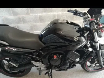 yamaha, fz 6, 2009, 599 (cc)