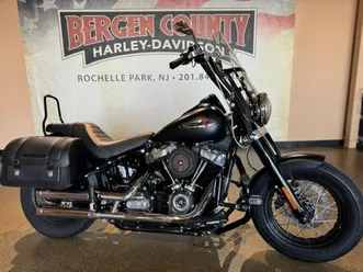 2020 harley davidson softail slim® flsl