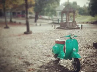 vespa 50s mota classica gavião