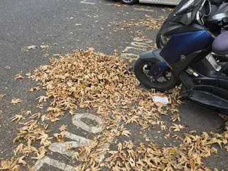 yamaha, xmax 125, 2018, 124 (cc)