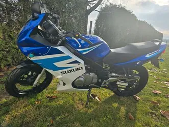 suzuki gs 500 f