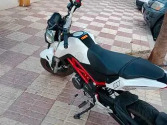 benelli - tnt tornado