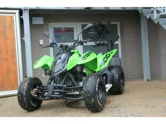 access motor_ xtreme 300 _ nerf-bars _ ahk _ lof _ garantie