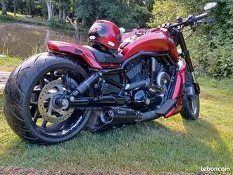 harley davidson night rod