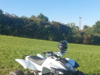 quad adly 500s