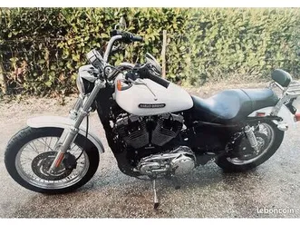 harley davidson 1200 low