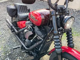 harley davidson softail street bob