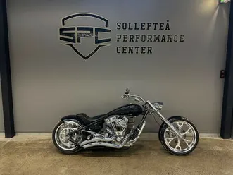 big dog pitbull lågmil / finans