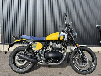 royal enfield bear 650 wild honey