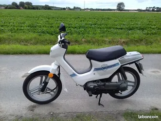honda wallaroo pk50