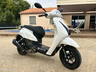 scooter orcal 50