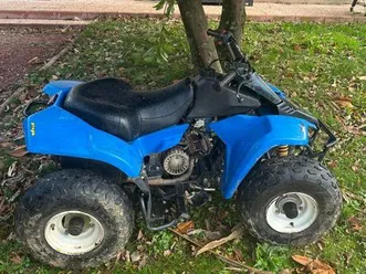 quad 50 cc