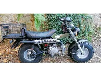 skyteam t-rex 125 tauschmotor