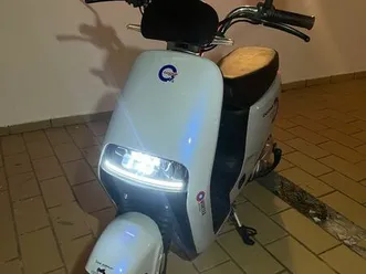 goose city 1200€ portimão