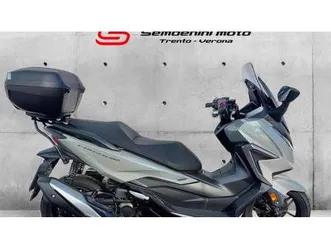 vendo honda forza 350 (2022 - 24) usata a trento (codice 9886905) - moto.it