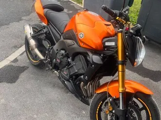 fz8