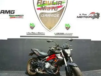 benelli bn 302 - 2019