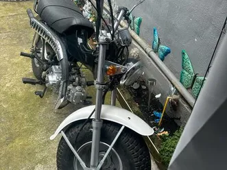 skyteam vmax/skyteam/honda dax ////monkey//t-rex