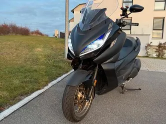 zontes 350 e - winterschnapper