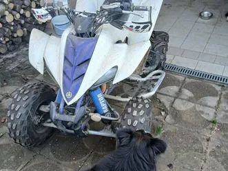 quad 350 raptor homologué