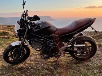 sv650 scrambler