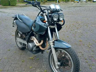 mz mastiff/ yamaha xt 660