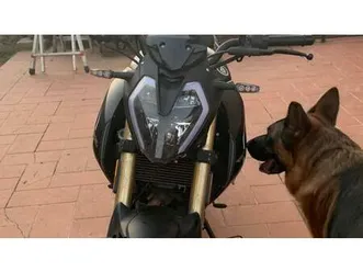 vendo keeway motor rkf 125 (2021 - 24) usata a chignolo po (codice 9887740) - moto.it