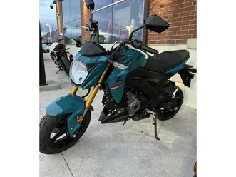 2021 kawasaki z125 pro