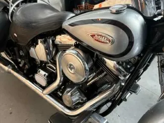 harley davidson - springer flsts