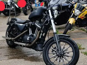 harley-davidson, sportster iron, 2015, 883 (cc) chopper