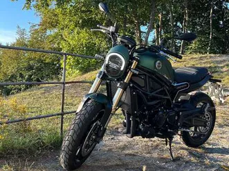 benelli leoncino 800 verde