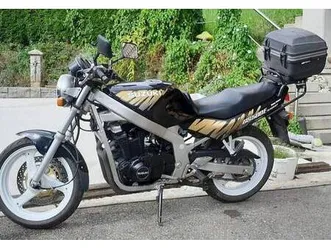 suzuki gs500 e