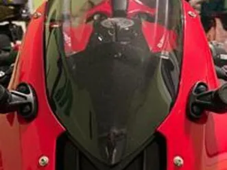 qj motor srk 800rr - 2025