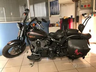 harley-davidson softail cross bones - 2009