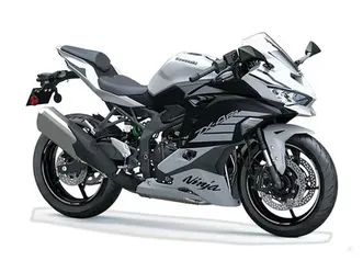 2025 kawasaki ninja zx-4rr