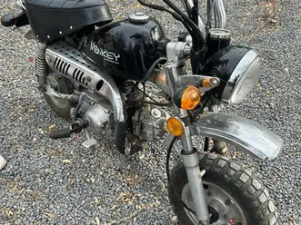 skyteam monkey 50 cc