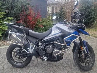 triumph tiger triumph feliksów