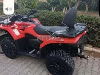 cforce très bon état