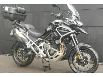 triumph tiger 2024