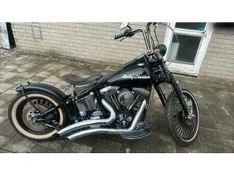 softail custom springer 98 — motoren | harley-davidson — marktplaats