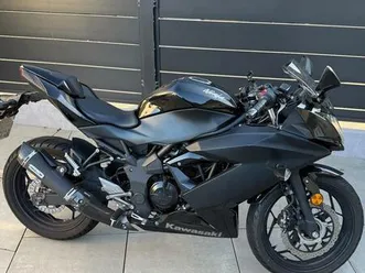 kawasaki ninja 125 performance