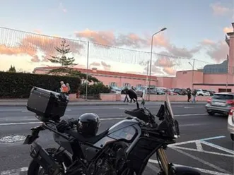 yamaha tenere 700 são martinho