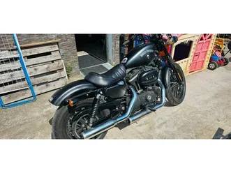 harley-davidson 883 iron