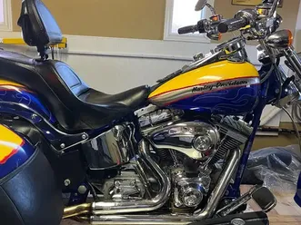 2006 harley davidson softail fatboy trike