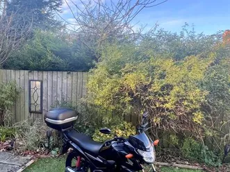 honda cb125f 125 cc naked petrol manual euro 5 (11 ps) 125 cc