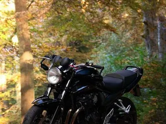 suzuki bandit gsf 650 wvb5 abs / 48 ps möglich