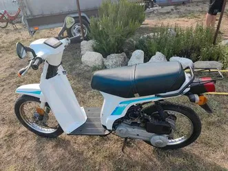 honda scoopy sh 50.