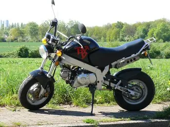 skyteam pbr 50, 5t km, top &#034;honda dax monkey clon&#034;