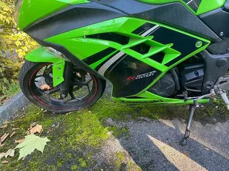 ninja 300 abs canton basel-landschaft -