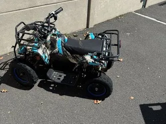 quad électrique